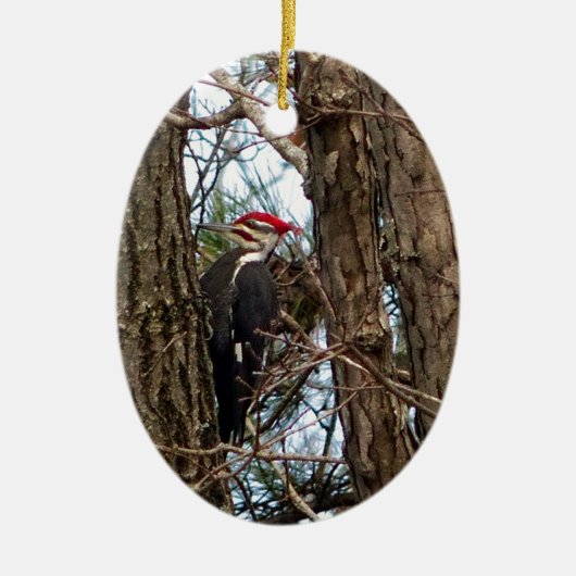 Male Pileated Woodpecker Keramikornament (Vorne)