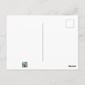 Male Pileated Woodpecker Postkarte (Rückseite)