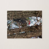 Male Pileated Woodpecker Puzzle (Horizontal)