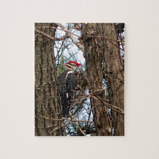 Male Pileated Woodpecker Puzzle (Vertikal)