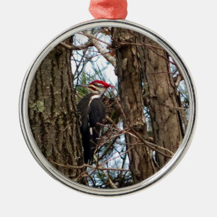 Male Pileated Woodpecker Silbernes Ornament