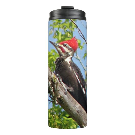 Male Pileated Woodpecker Thermosbecher (Vorderseite)