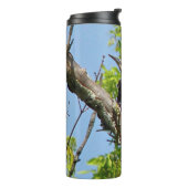 Male Pileated Woodpecker Thermosbecher (Nach links gedreht)