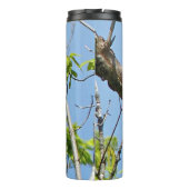 Male Pileated Woodpecker Thermosbecher (Rückseite)