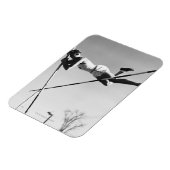 Male Pole Vaulter Magnet (Linke Seite)