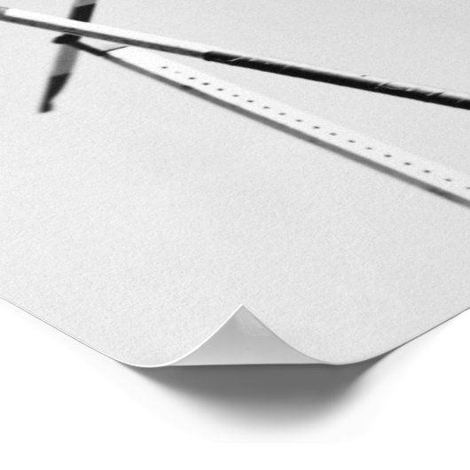 Male Pole Vaulter Poster (Ecke)