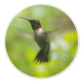 Male Ruby Throat Hummingbird Keramikknauf (Vorderseite)
