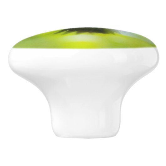 Male Ruby Throat Hummingbird Keramikknauf (Seitenansicht)