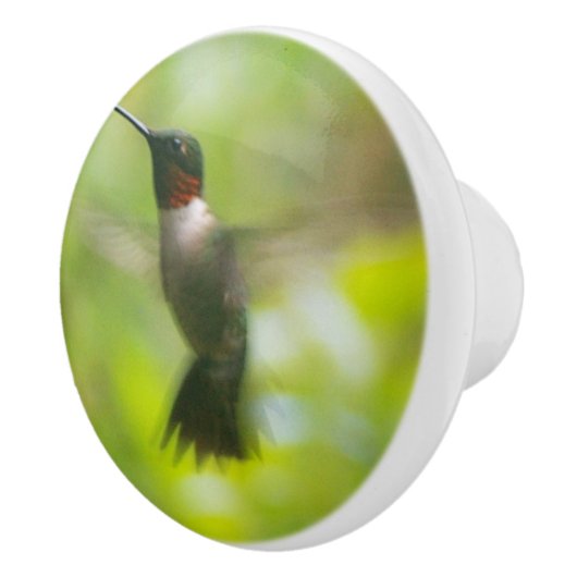 Male Ruby Throat Hummingbird Keramikknauf (Rechts)