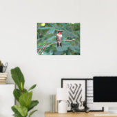Male Ruby Throated Hummingbird Poster (Heimbüro)
