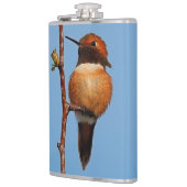 Male Rufous Hummingbird im Scheinwerferlicht Flachmann (Links)