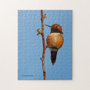 Male Rufous Hummingbird im Scheinwerferlicht Puzzle