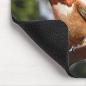 Male Rufous Hummingbird - Mousepad (Ecke)