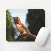 Male Rufous Hummingbird - Mousepad (Mit Mouse)