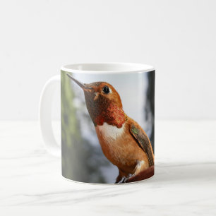 Male Rufous Hummingbird - Tasse