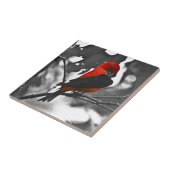 Male Scarlet Tanager Fliese (Seite)