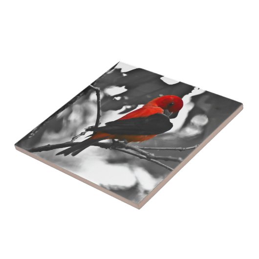 Male Scarlet Tanager Fliese (Seite)