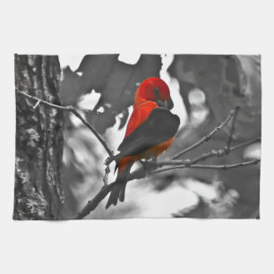 Male Scarlet Tanager Geschirrtuch