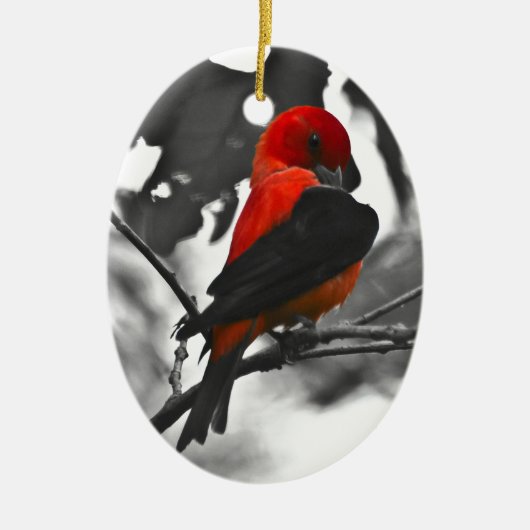 Male Scarlet Tanager Keramik Ornament (Vorne)