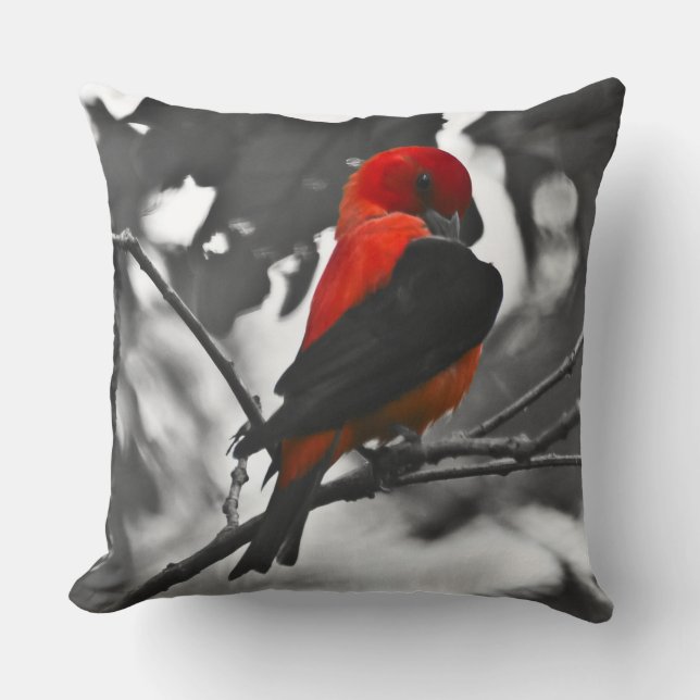 Male Scarlet Tanager Kissen (Vorderseite)