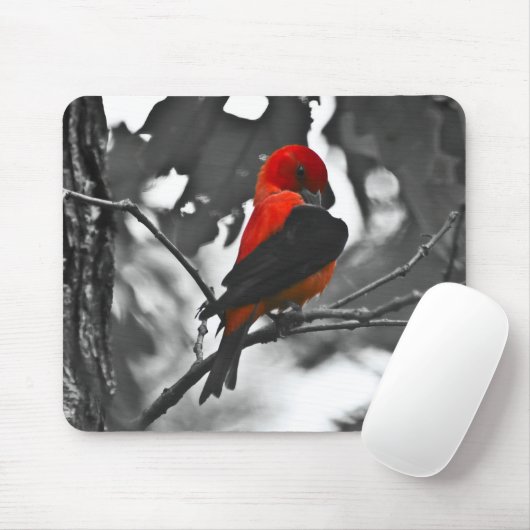Male Scarlet Tanager Mousepad (Mit Mouse)