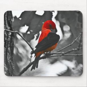 Male Scarlet Tanager Mousepad