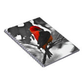 Male Scarlet Tanager Notizblock (Rechte Seite)