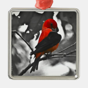 Male Scarlet Tanager Ornament Aus Metall