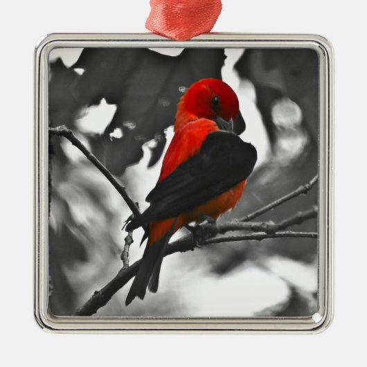 Male Scarlet Tanager Ornament Aus Metall (Vorne)