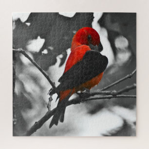 Male Scarlet Tanager Puzzle