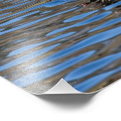 Male Wood Duck Fotodruck (Ecke)