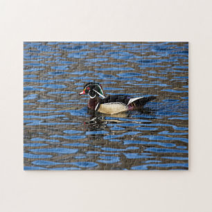 Male Wood Duck Puzzle