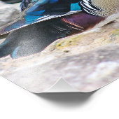 Malé Wood Duck Square Print Fotodruck (Ecke)
