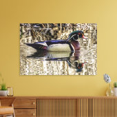 Male wood duck swimming in pond canvas print leinwanddruck (Insitu (Wohnzimmer))