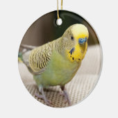Male Yellow und Green Parakeet Keramik Ornament (Links)