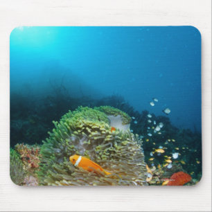 Malediven Anemone Fische schwimmen unter Wasser Mousepad