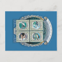 Malediven Briefmarke Delphine Postkarte