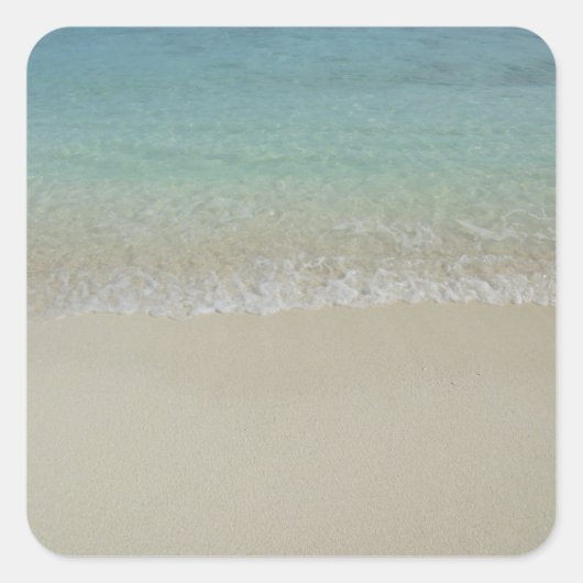 Malediven des Sandblattes trendy Nature Quadratischer Aufkleber (Vorderseite)