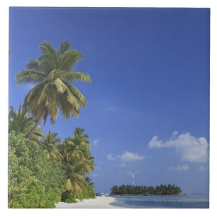 Malediven, Meemu Atoll, Medhufushi Insel Fliese