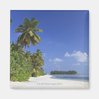 Malediven, Meemu-Atoll, Medhufushi-Insel Magnet