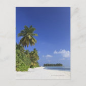 Malediven, Meemu-Atoll, Medhufushi-Insel Postkarte (Vorderseite)