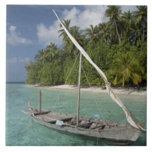 Malediven, North-Malé-Atoll, Insel Kuda Fliese