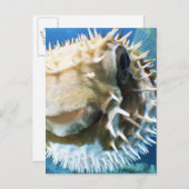 Malediven Postkarte (Vorne/Hinten)