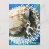 Malediven Postkarte (Vorderseite)