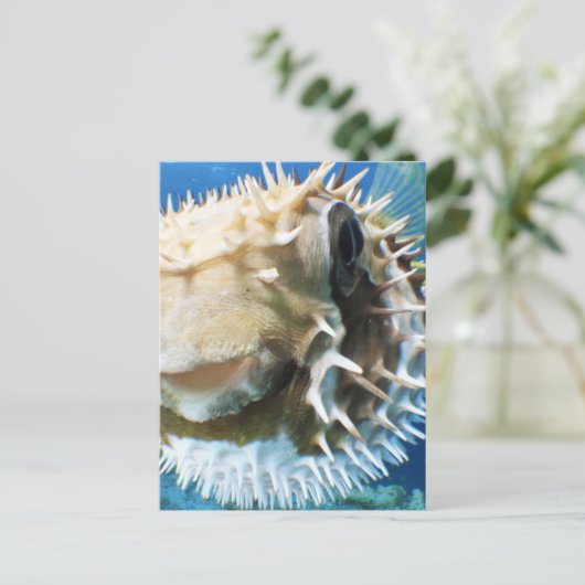 Malediven Postkarte (Stehend Vorderseite)