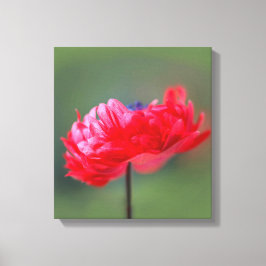 Maleffekt der roten Blume nah Leinwanddruck