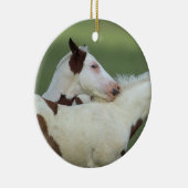 Malen Sie das Fohlen-Spielen Keramikornament (Rechts)