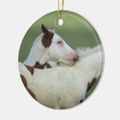 Malen Sie das Fohlen-Spielen Keramikornament (Links)