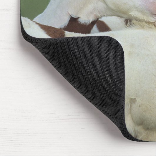 Malen Sie das Fohlen-Spielen Mousepad (Ecke)