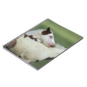 Malen Sie das Fohlen-Spielen Notizblock (Linke Seite)